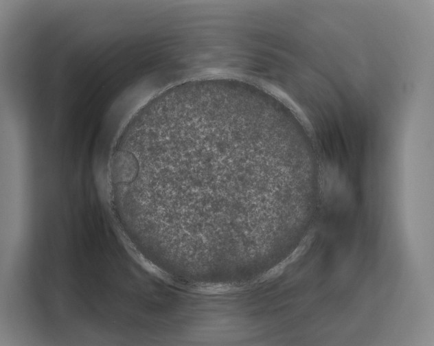 X0000108481278200905151215