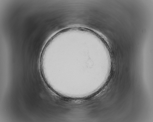X0000108481279200905151215