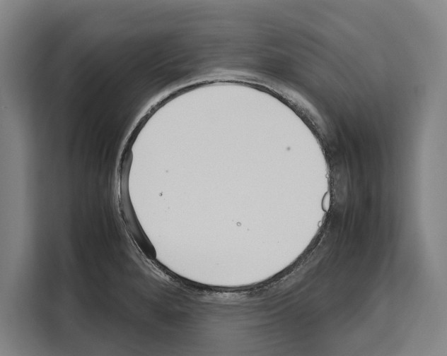 X0000108481280200905151215