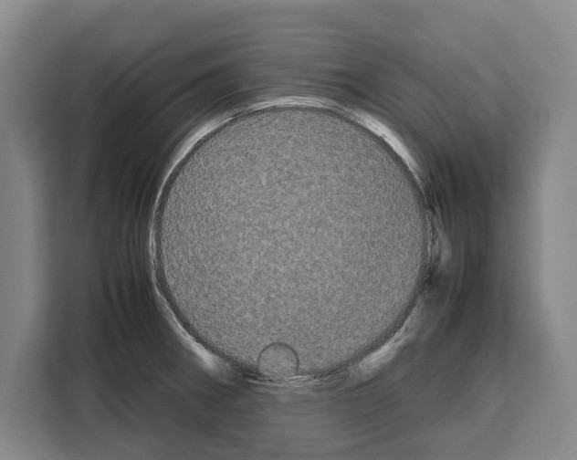 X0000108481282200905151215
