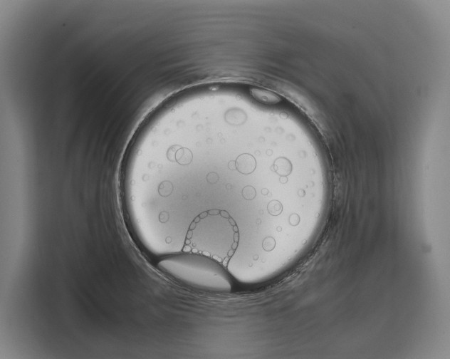 X0000108481283200905151215