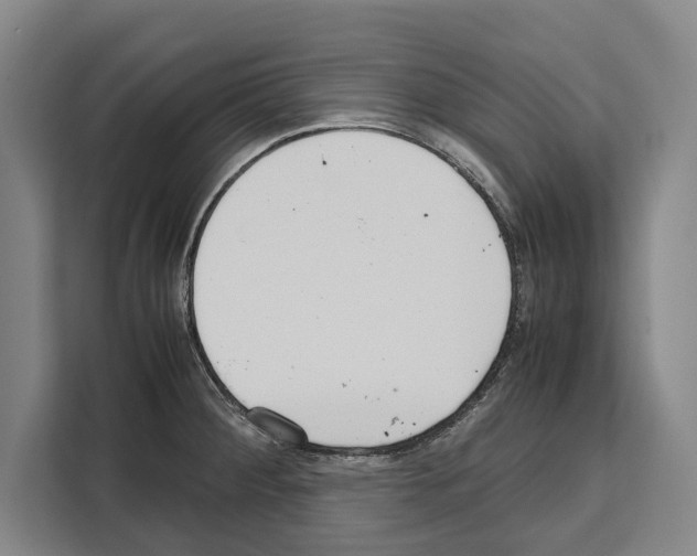 X0000108481284200905151215