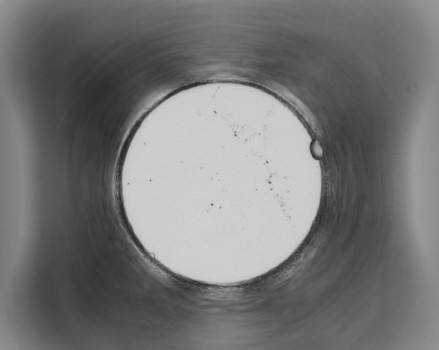 X0000108481285200905151215