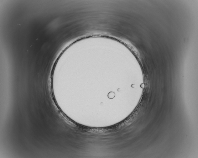 X0000108481287200905151215