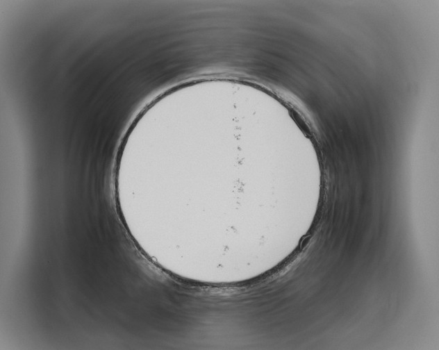 X0000108481288200905151215
