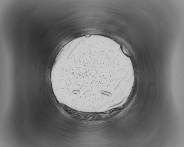X0000108481289200905151215