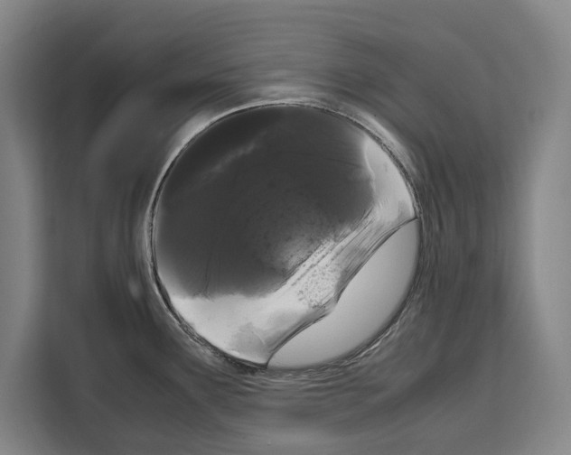 X0000108481291200905151215
