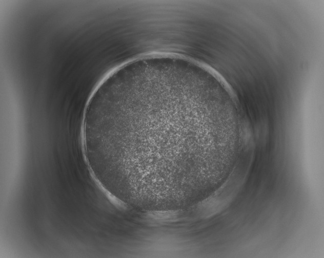 X0000108481294200905151215
