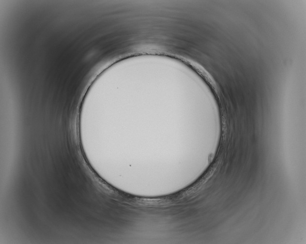 X0000108481295200905151215