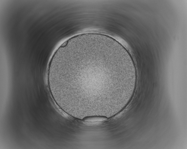 X0000108481296200905151215