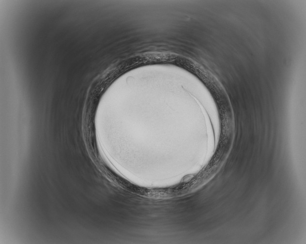 X0000108481297200905151215