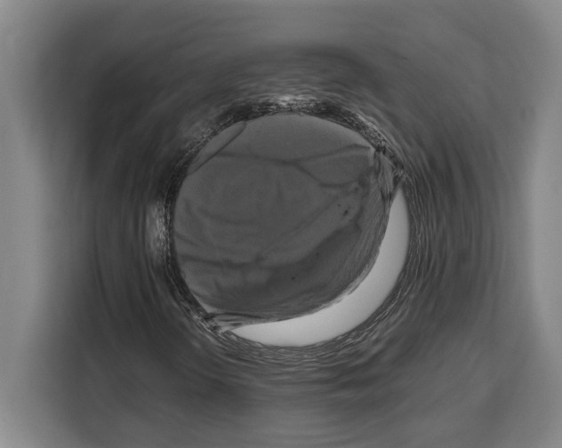 X0000108481298200905151215