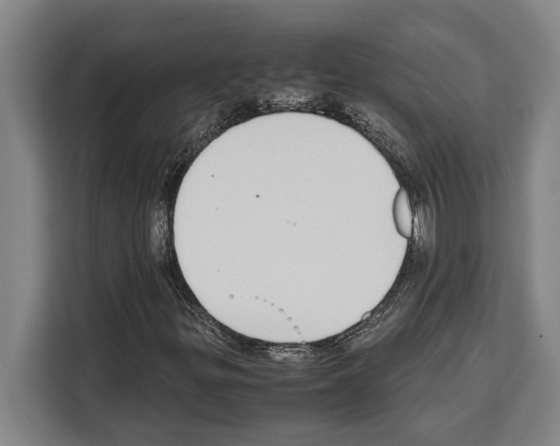 X0000108481299200905151215