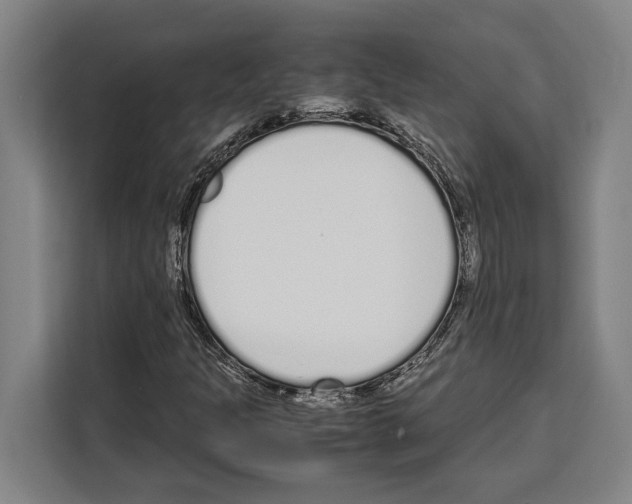 X0000108481301200905151215