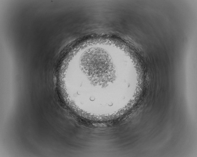 X0000108481302200905151215