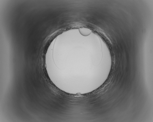 X0000108481304200905151215