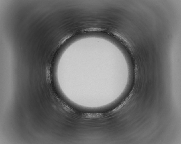 X0000108481305200905151215
