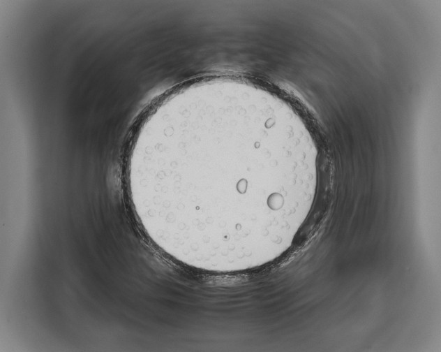 X0000108481307200905151215