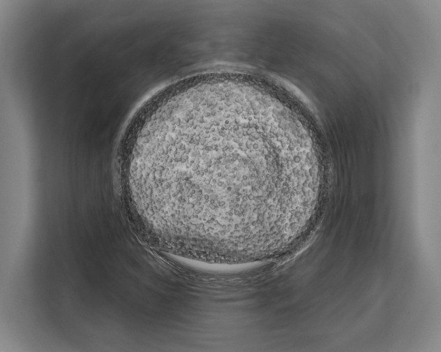 X0000108481310200905151215