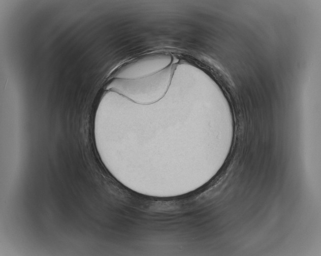 X0000108481313200905151215