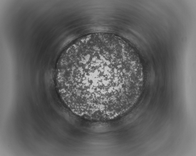 X0000108481314200905151215