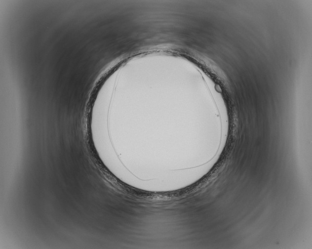 X0000108481316200905151215