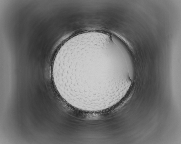 X0000108481317200905151215