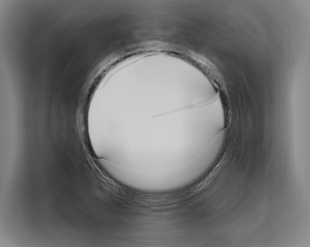 X0000108481318200905151215