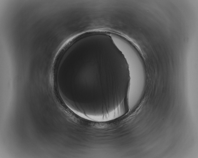 X0000108481319200905151215