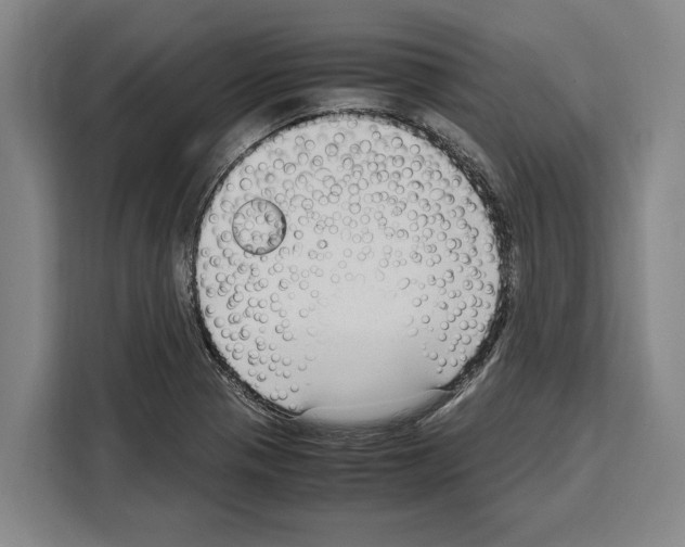 X0000108481321200905151215