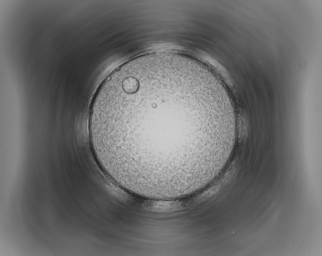 X0000108481322200905151215
