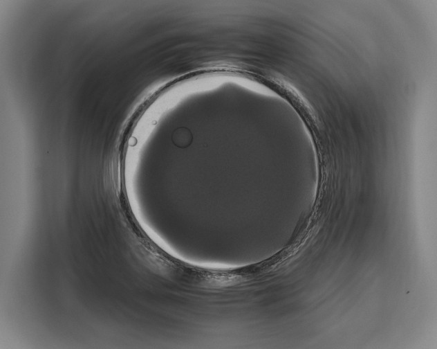 X0000108481323200905151215