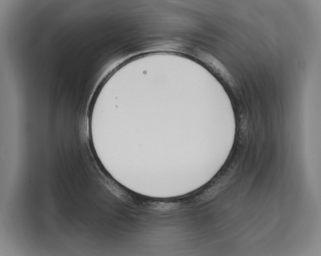 X0000108481324200905151215