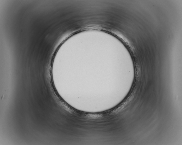 X0000108481325200905151215