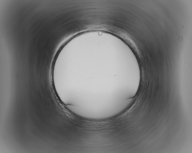 X0000108481328200905151215