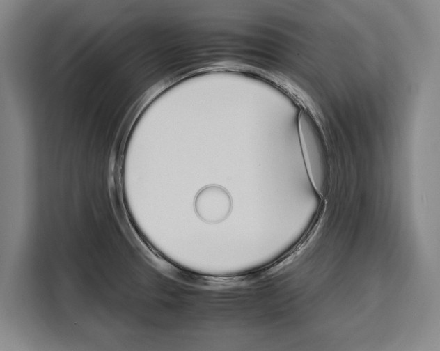 X0000108481329200905151215