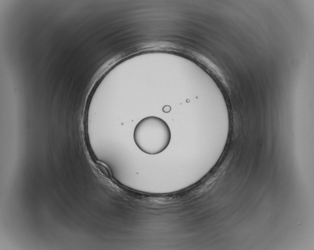 X0000108481330200905151215