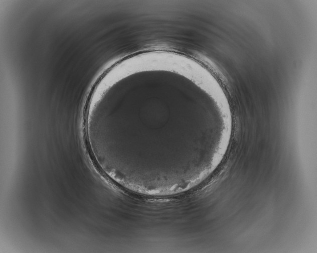 X0000108481331200905151215