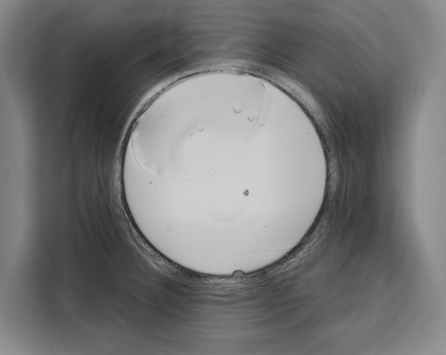 X0000108481332200905151215