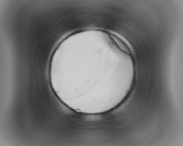 X0000108481333200905151215