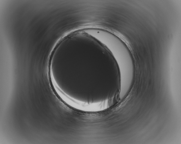 X0000108481334200905151215
