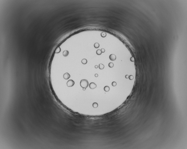 X0000108481335200905151215