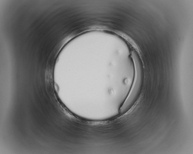 X0000108481337200905151215