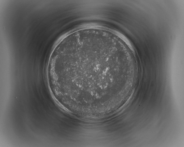 X0000108481338200905151215