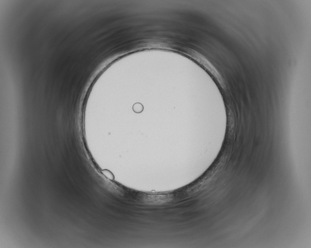 X0000108481339200905151215