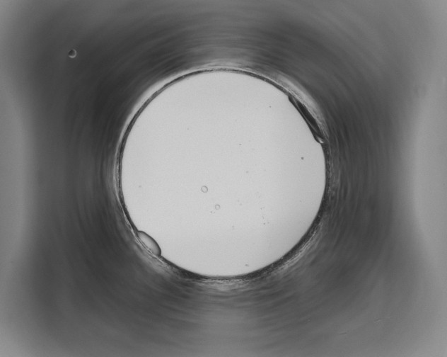X0000108481340200905151215