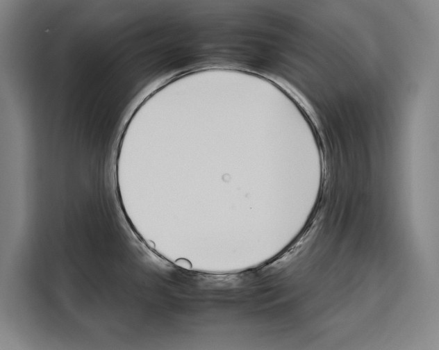 X0000108481341200905151215