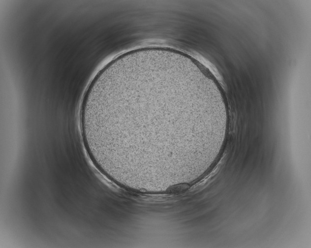 X0000108481342200905151215