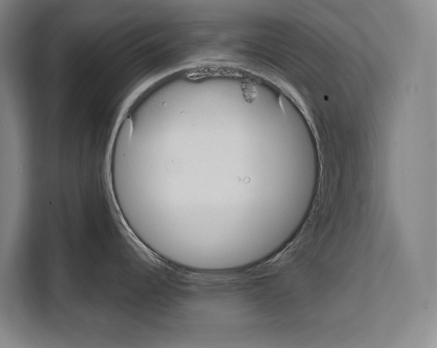 X0000108481344200905151215