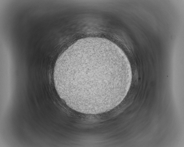 X0000108481348200905151215